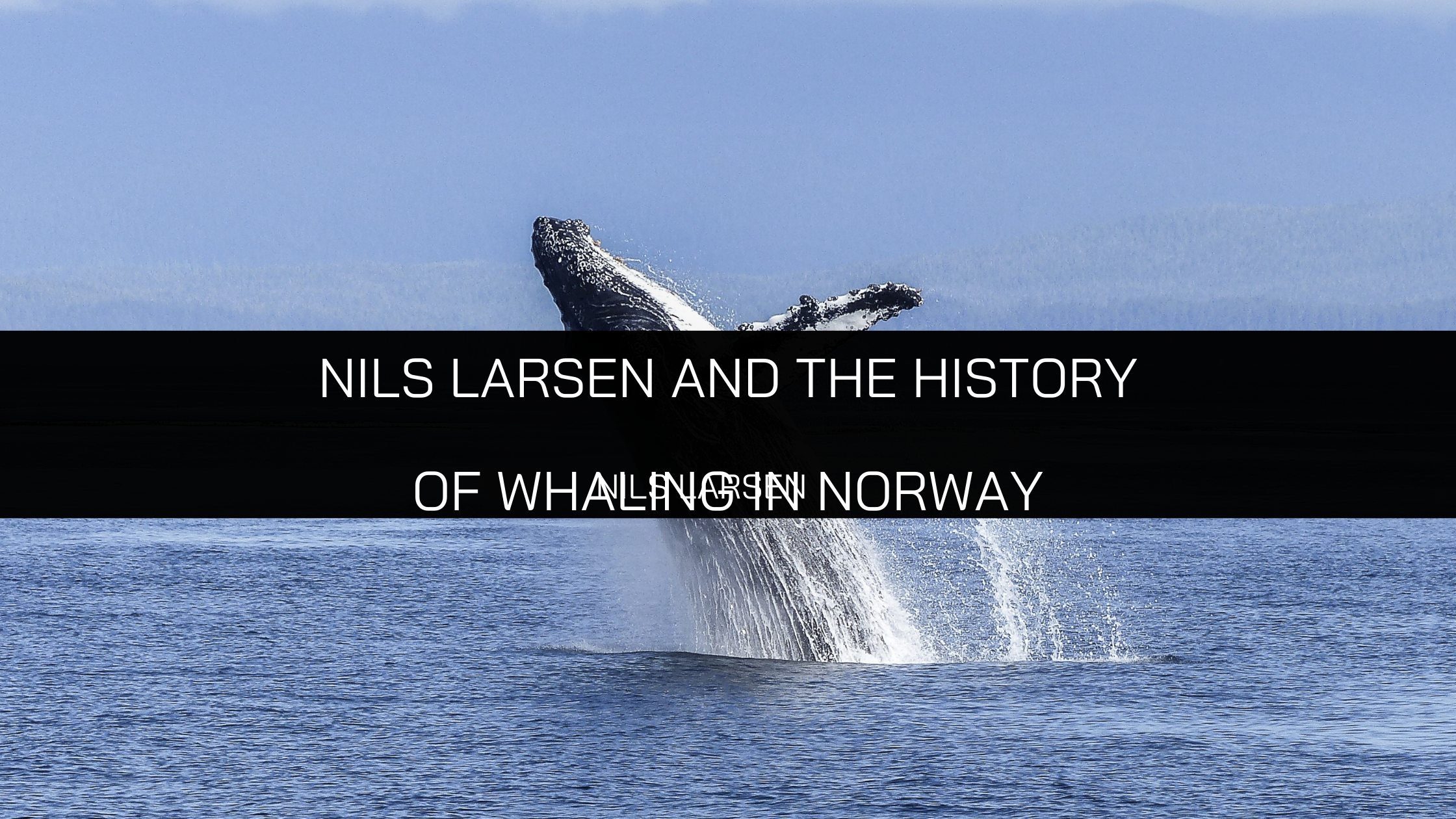 Nils Larsen and the History of Whaling in Norway